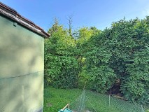 Foto23