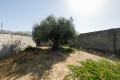 Foto9