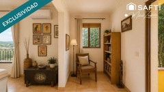 Foto4