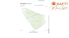 Foto8