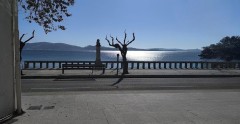 Foto23