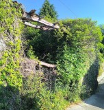 Foto14