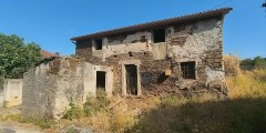 Foto1