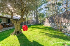 Foto52