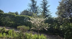 Foto7
