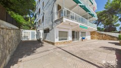 Foto1