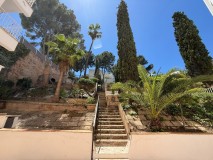 Foto31