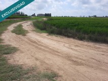 Foto8