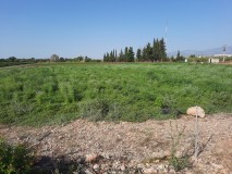 Foto3