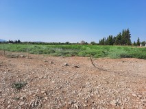 Foto5