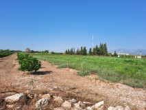 Foto7