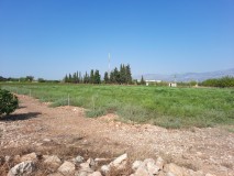 Foto2