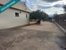 Foto8