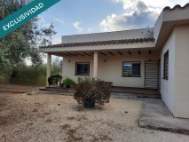 Foto5