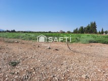 Foto5