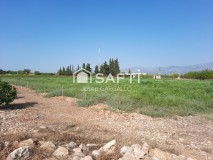 Foto2