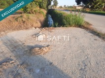 Foto12
