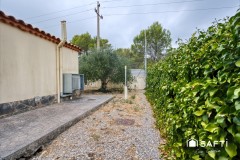 Foto6