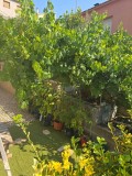 Foto23