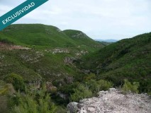 Foto15