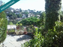 Foto31