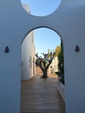 Foto2
