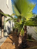 Foto19
