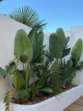 Foto4