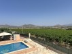 Foto42
