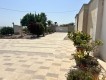 Foto38