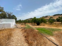 Foto36