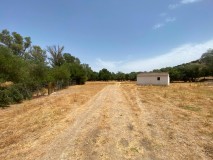 Foto39