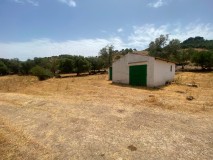 Foto40