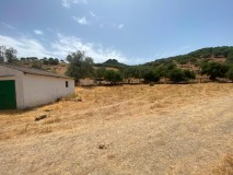 Foto41