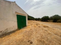 Foto42