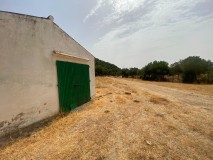 Foto43