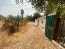 Foto52