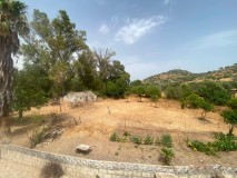 Foto9