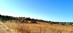 Foto6