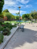 Foto50