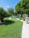 Foto53