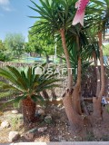 Foto7