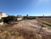 Foto8