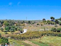 Foto8