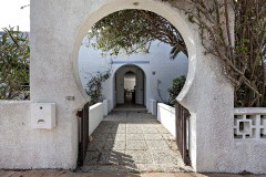 Foto7