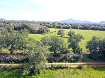 Foto2
