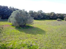 Foto7