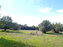 Foto10