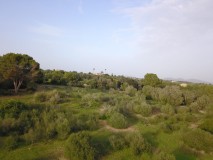 Foto12