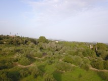 Foto13